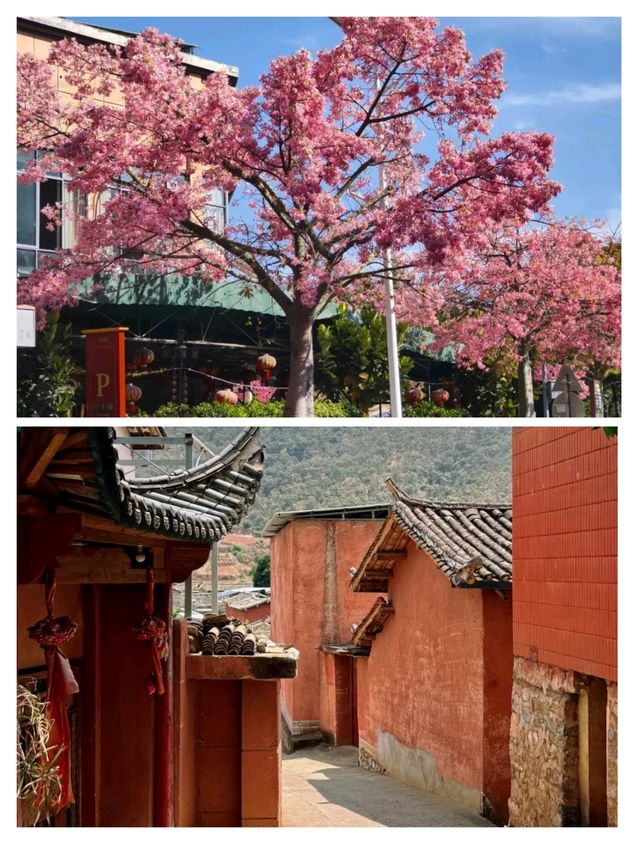 四川-攀枝花遊玩日記，即刻出發