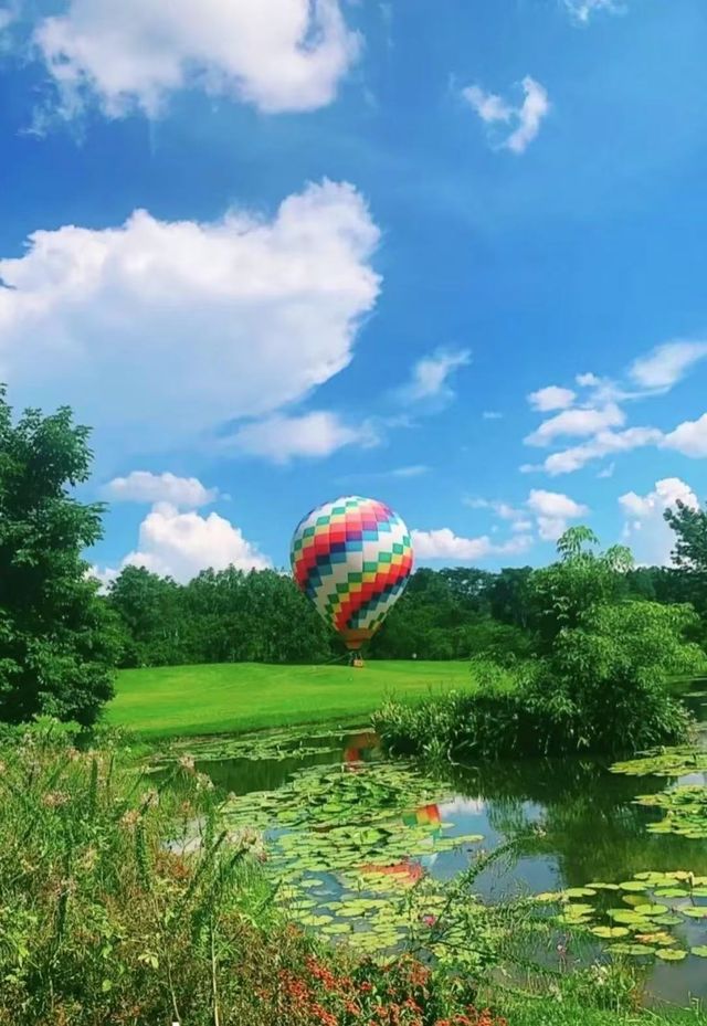 探秘版納中科院植物園：熱帶植物的奇幻王國