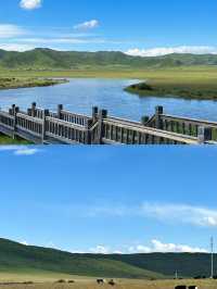 邂逅川西北嘅油畫天堂