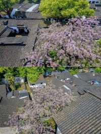 避暑嚟紹興，打卡寶藏地，體驗感比蘇杭仲正
