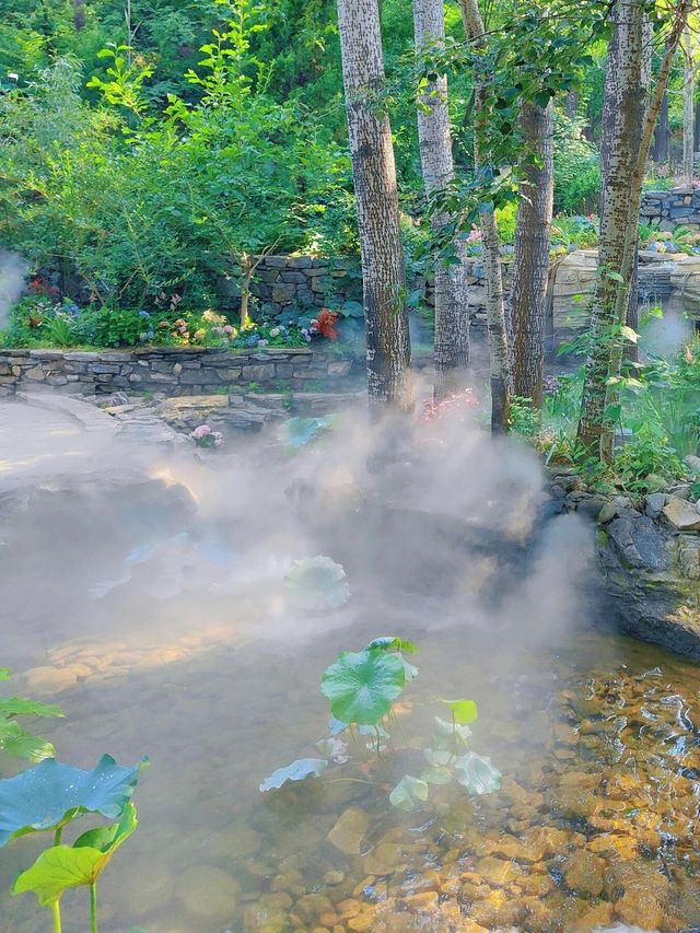 邊個話坡峰嶺得秋天先有紅葉睇？！夏天嚟玩都正到爆！