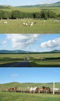 北京→赤峰！人均1k玩出北歐感（附保姆級攻略）