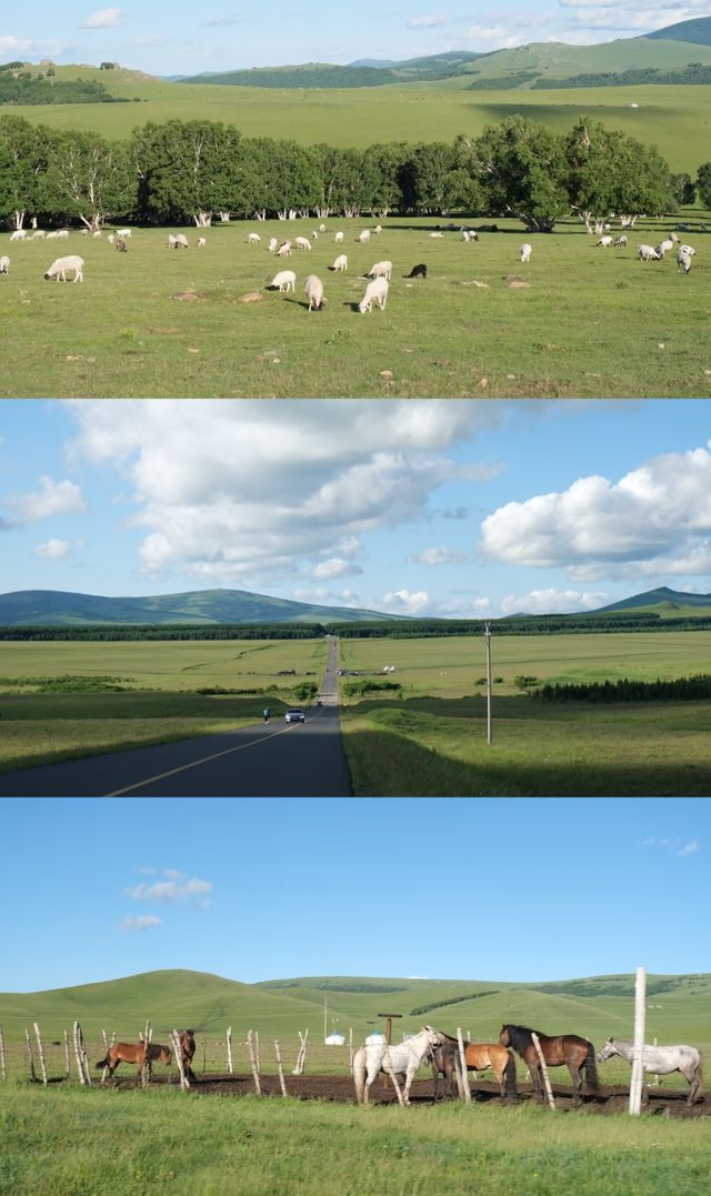 北京→赤峰！人均1k玩出北歐感（附保姆級攻略）
