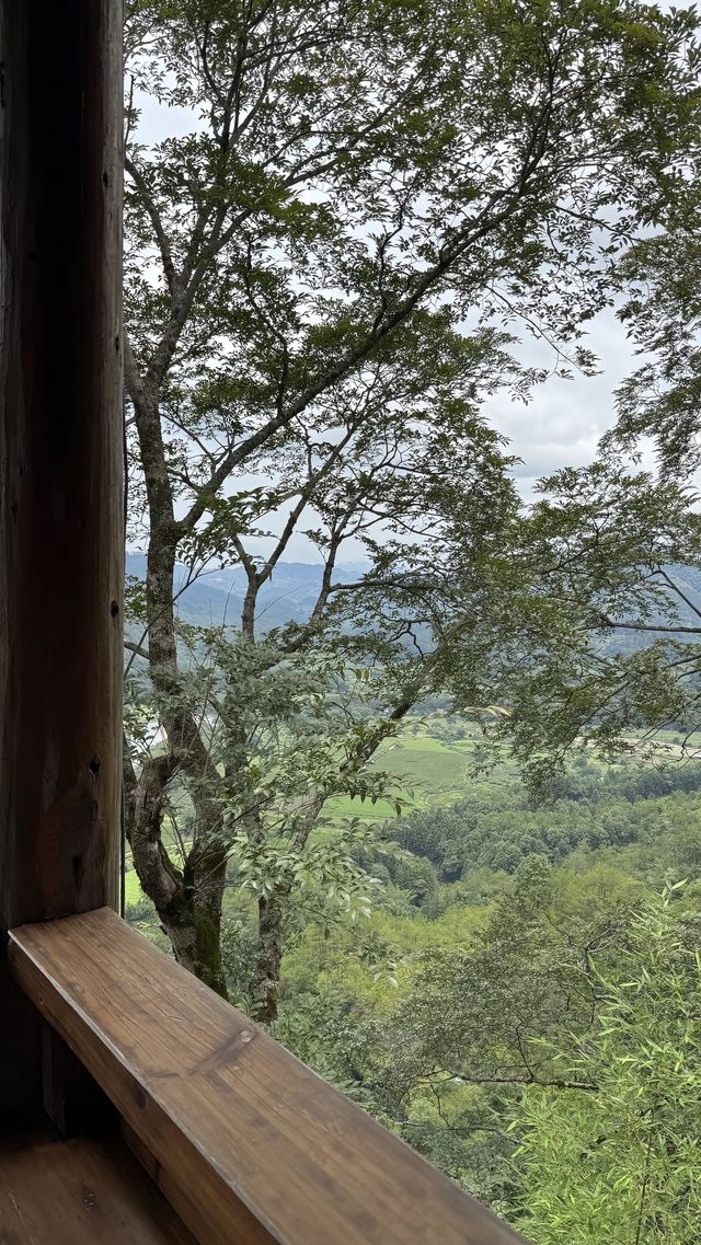 武夷山5天4夜深度遊｜食住玩全攻略避坑指南