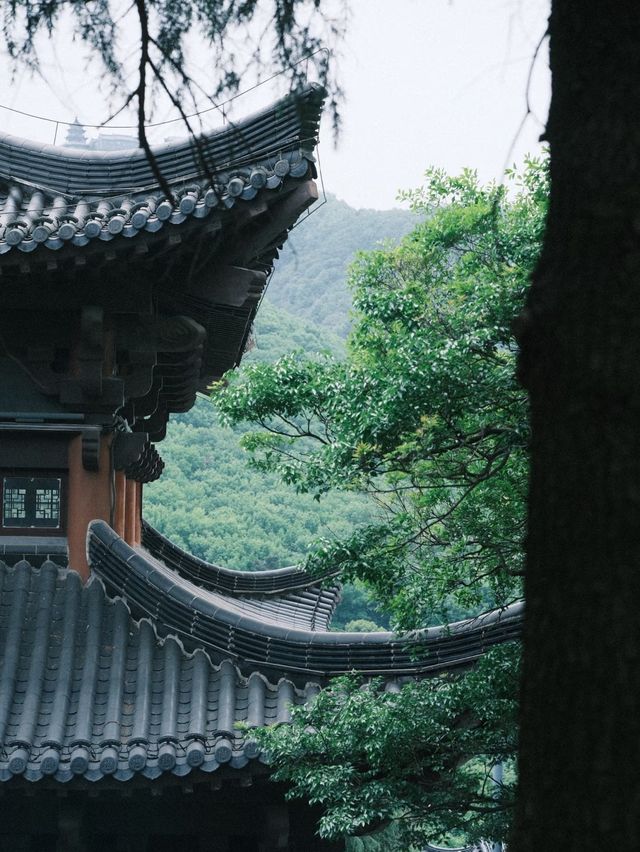沉浸式仙俠體驗！茅山兩日遊神仙攻略嚟啦