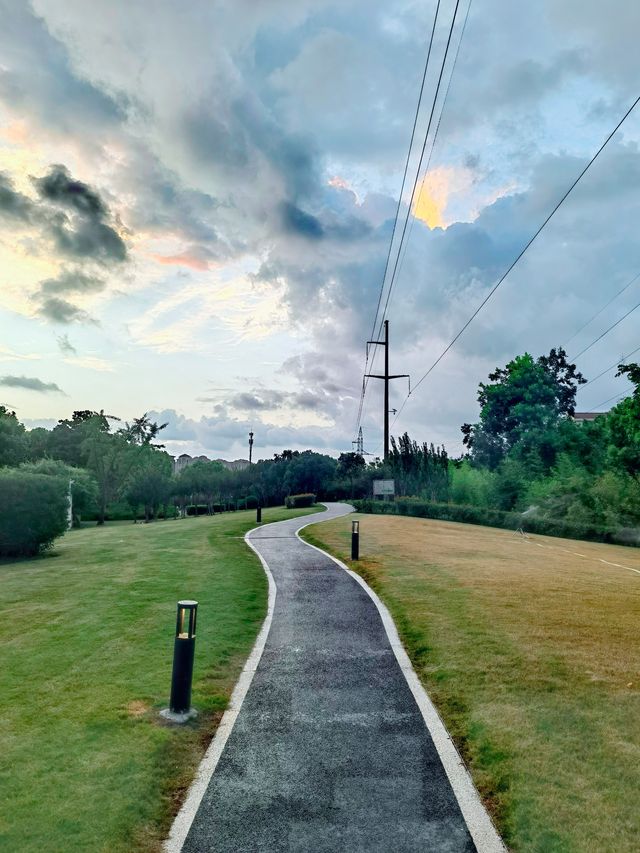 浦發公園 | 夏日綠蔭，散步遛娃超正