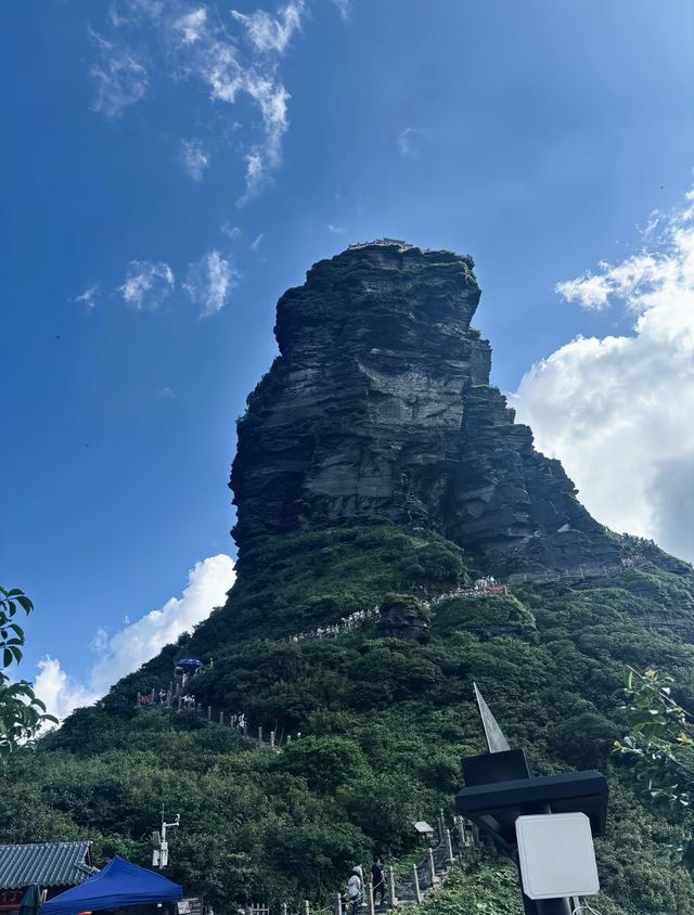 雲霧仙境蘑菇石