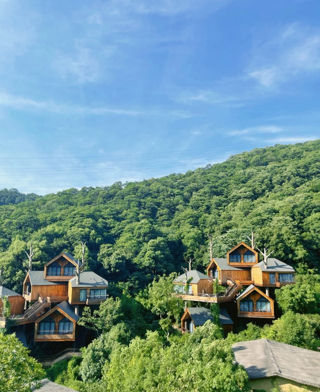 莫干山森泊私藏玩法