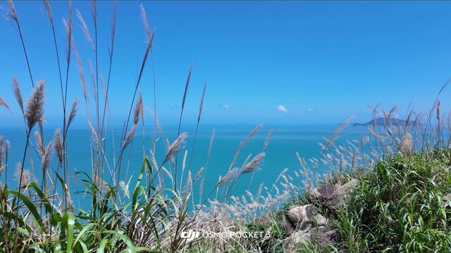 早前住喺希貝酒店，心血來潮決定去水桶岙玩，呢一趟經歷真係太難忘喇。