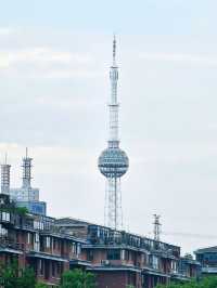 夏日漫遊計劃上海奉賢區8大原創景點攻略