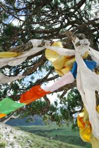 不輸瑞士！分享一個8月川西封神地