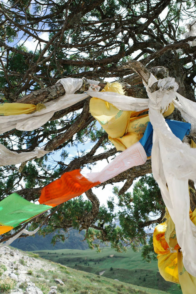 不輸瑞士！分享一個8月川西封神地