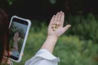 23℃毛毛球森林徒步避暑！拍出森系大片