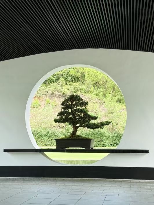 中國版馬爾代夫住進國家地理認證的絕美水庫酒店 中國版馬爾代夫住進國家地理認證的絕美水庫酒店