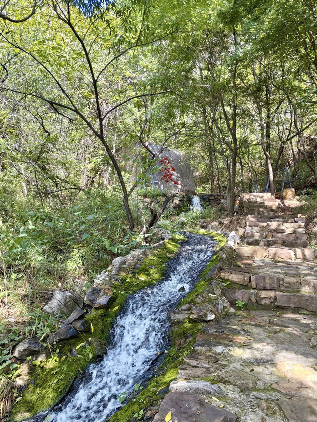 綠谷清歌——武安市朝陽溝的山水柔情
