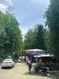 成都周邊|有啲驚險嘅中壩森林一日遊