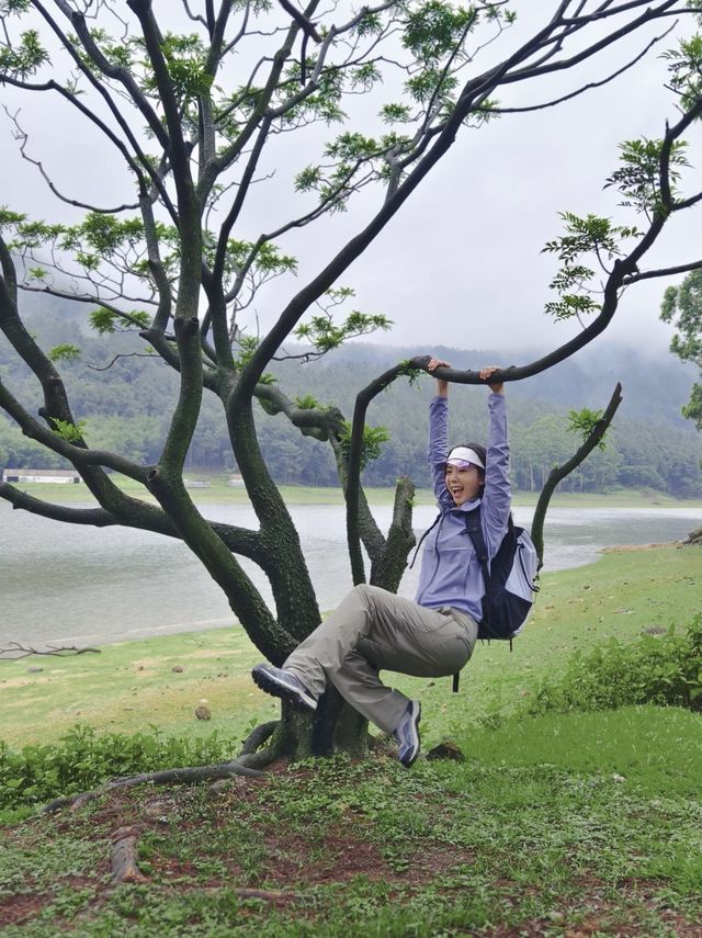 美到犯規江門也有自己的小新疆