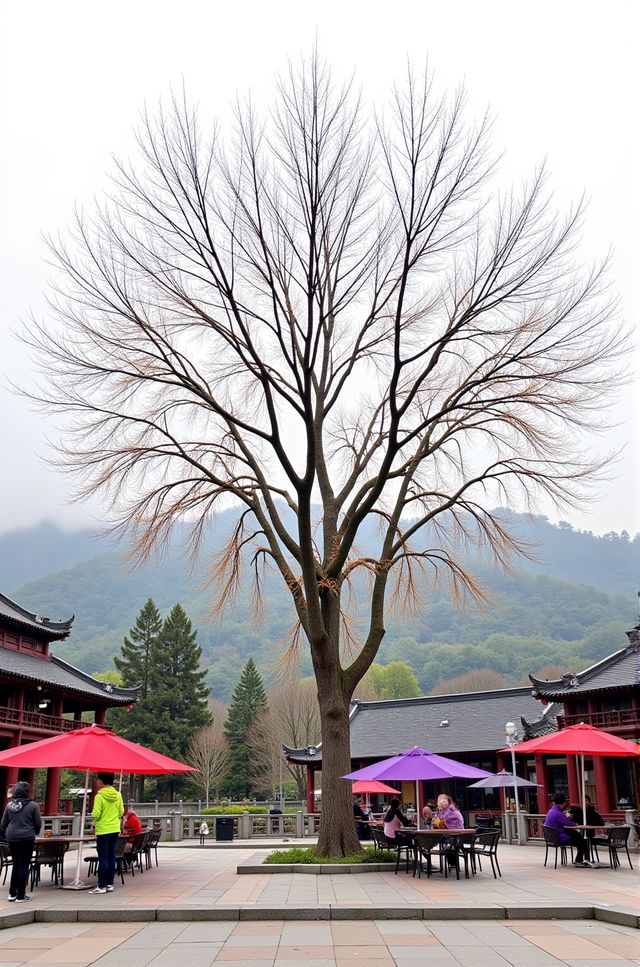 紅柿滿山的600年古村，終於迎來熱度！