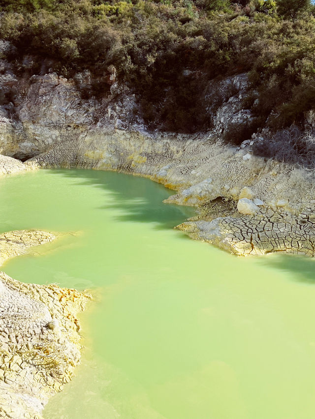 🌿 Waitopu Valley: Where Avocado Groves Meet Geothermal Magic! ♨️🥑