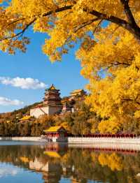 北京秋天打卡地圖這7條路線逛完，才算沒白來！