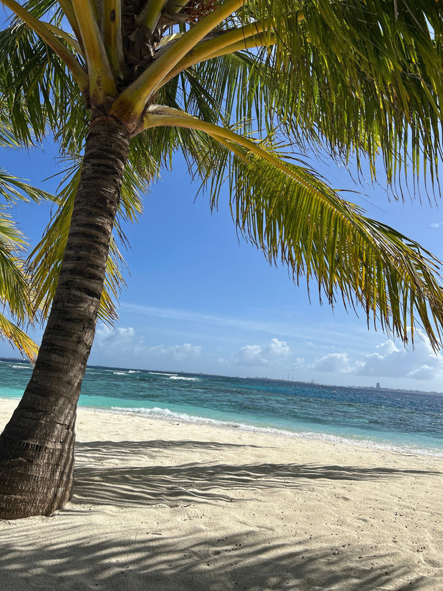 Escape to Adaaran Prestige Vadoo for Romance and Privacy