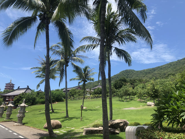 椰林海景拍攝聖地