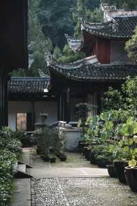 秋風微涼，稻穀滿倉：記第四次去國清寺