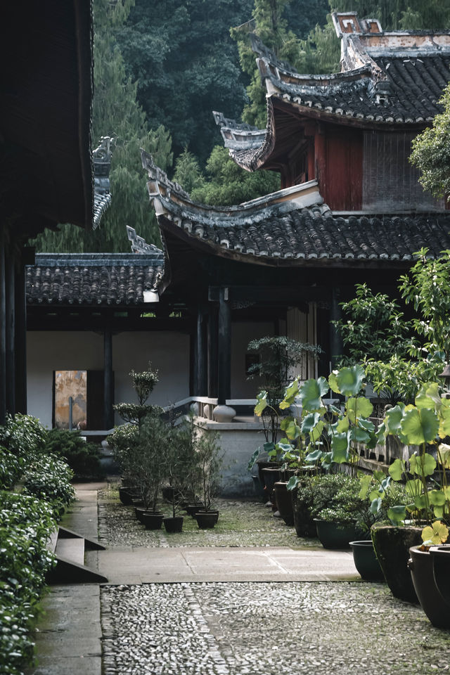 秋風微涼，稻穀滿倉：記第四次去國清寺
