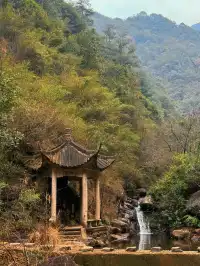 離滬計劃（41/100）桐廬 ｜ 山裡當野人的日子