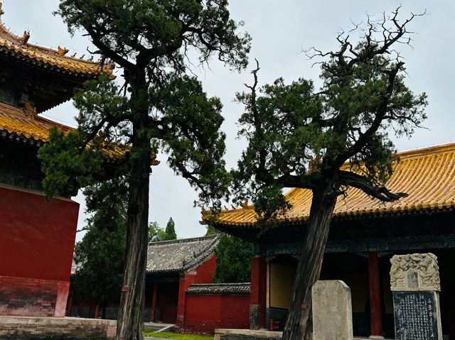 嵩嶽伴行：與你共赴一場穿越千年的晨鐘暮鼓​