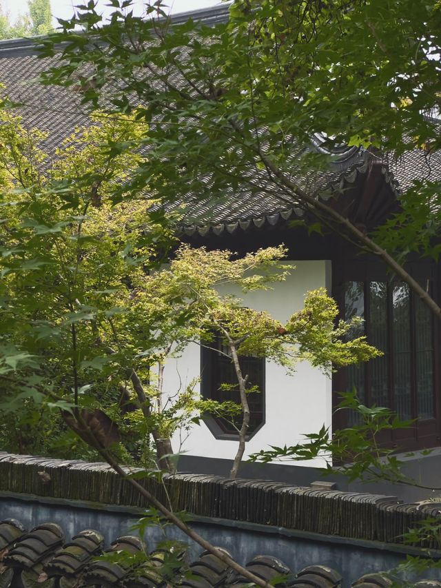 南京人都捨不得分享的小眾寶藏地