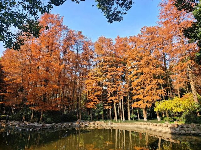 魔都小眾寶藏地人民公園漫遊指南