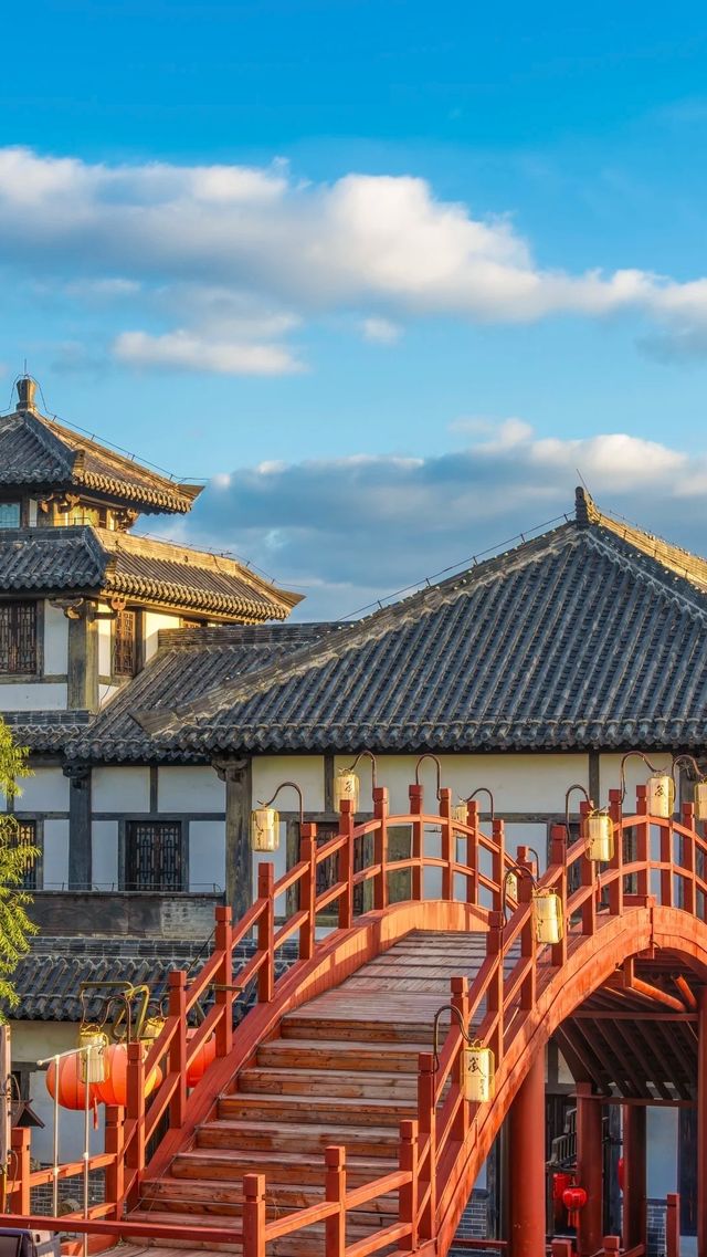黃河口觀鯨全攻略 黃河口觀鯨全攻略