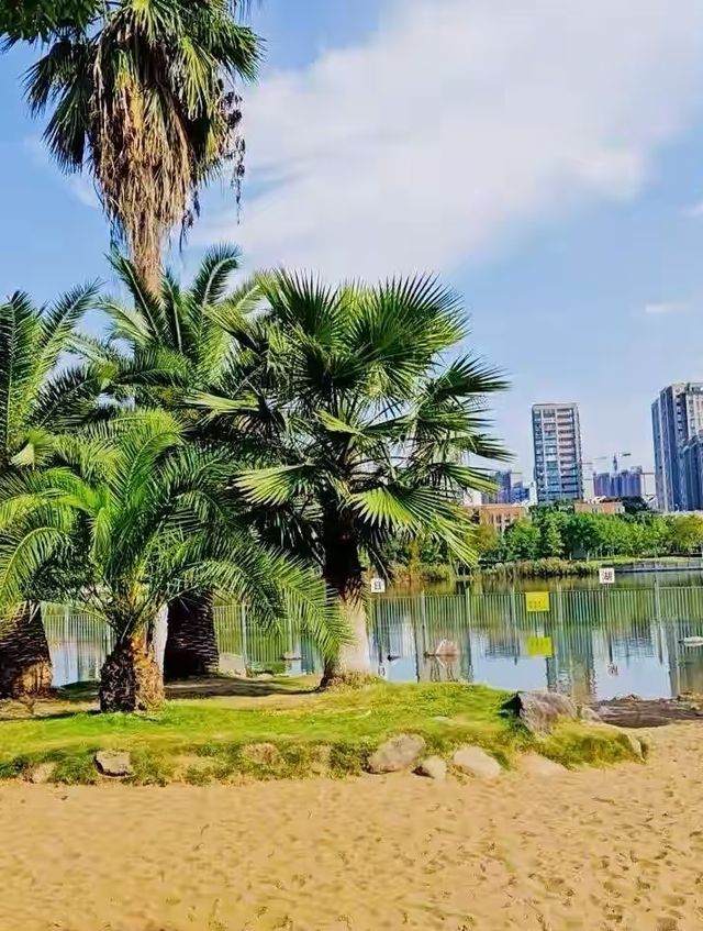 寧波的一個公園，我經常去真喜歡—日湖公園