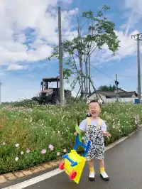 南岸美村，一個很美的小村莊