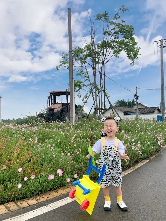 南岸美村，一個很美的小村莊