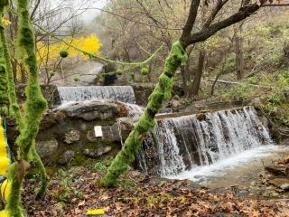 석가장 주변｜부평 천생교 가을 풍경이 끝내줘요! 비 내리는 신비로운 풍경이 숨이 멎을 정도로 아름다워요