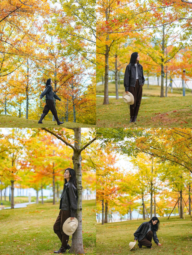 成都賞秋指南個絕美的秋日氛圍感公園! 成都賞秋指南個絕美的秋日氛圍感公園!