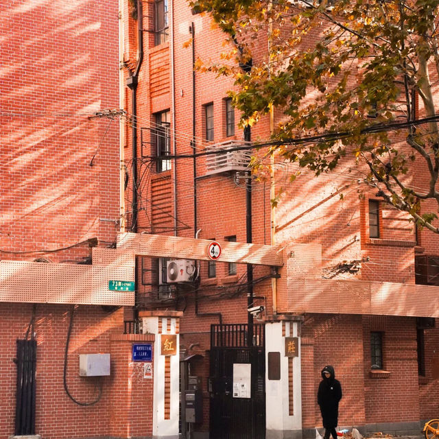 🍂상하이의 가을, 이 도시를 사랑하는 이유