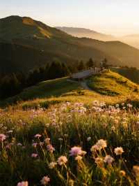 帶娃去六盤水!3天玩遍涼都超省心