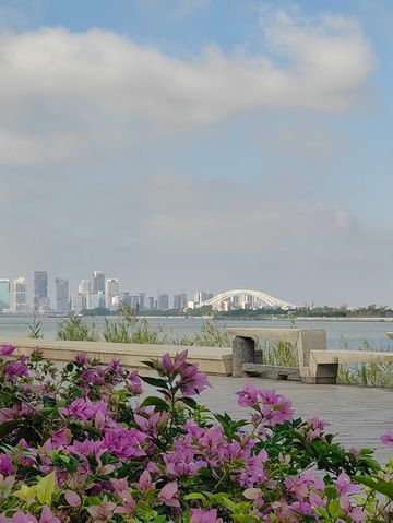 花海長廊已開啟賞花模式