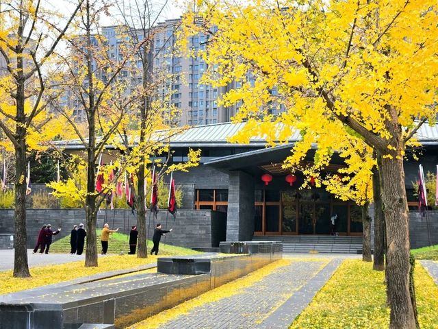 曲江池銀杏展，秦二世陵金黃浪漫鎖初冬