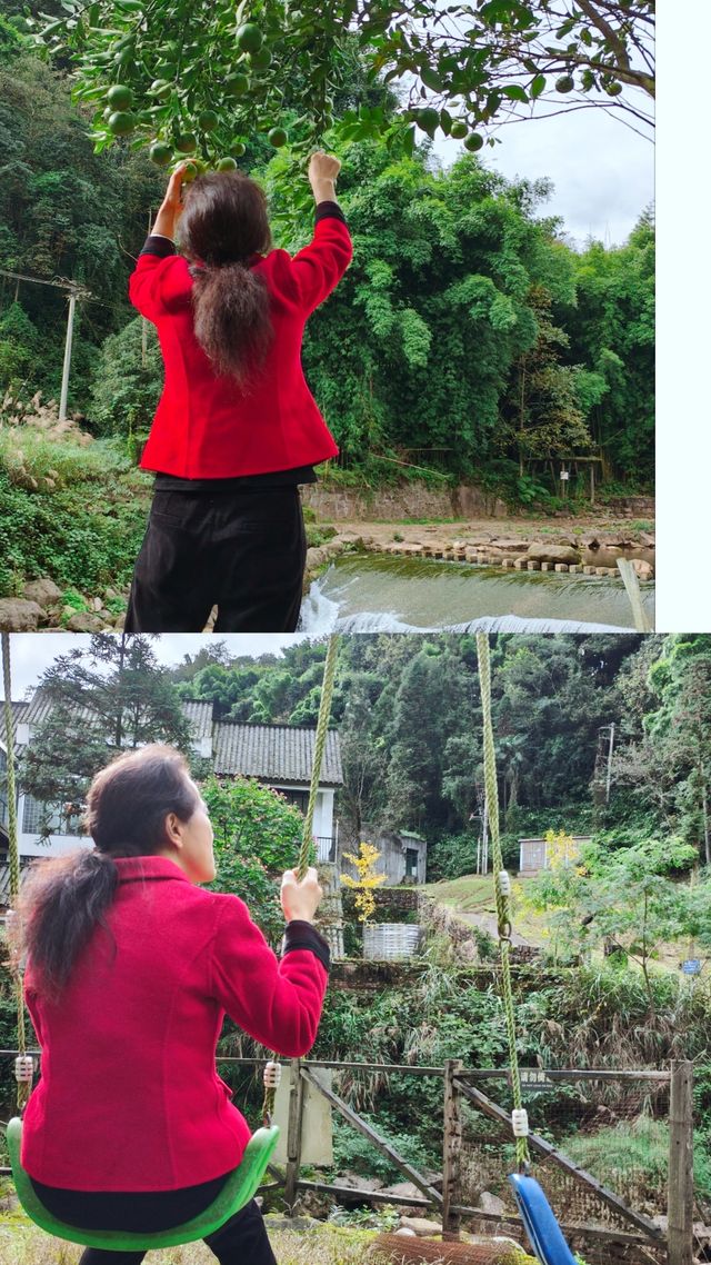 青城山免票！雲孚里莊園春秋假遛娃封神