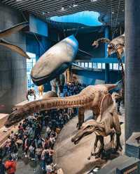 上海自然博物館 | 會呼吸的綠螺,超震撼的自然世界!