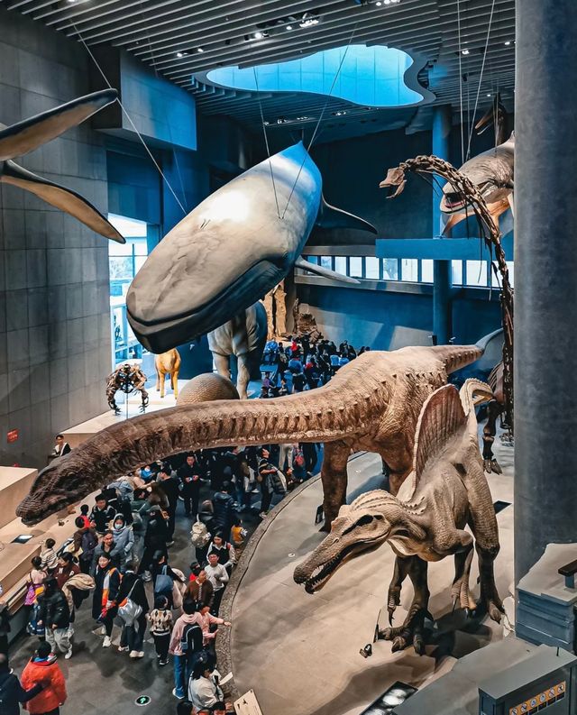 上海自然博物館 | 會呼吸的綠螺,超震撼的自然世界! 上海自然博物館 | 會呼吸的綠螺,超震撼的自然世界!