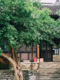 福利免費送|打卡世界第一高橋的小眾視角