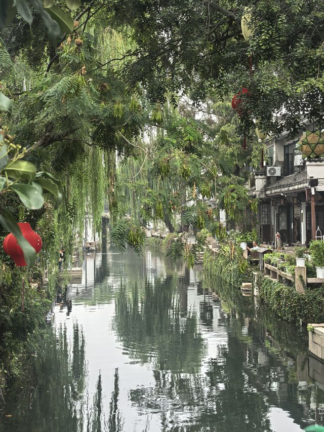 總要去趟周莊古鎮吧，看看課本裡的江南