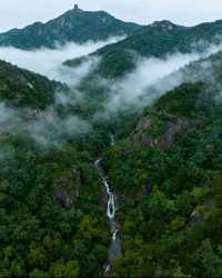 孝感保姆級攻略帶你遊玩絕美景點