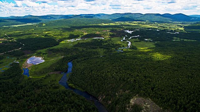 秋冬阿爾山國家森林公園攻略