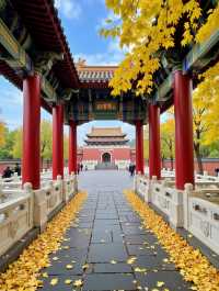 唔好再逼爆九寨溝啦！發現天水「隴上小九寨」靚到我喊！